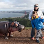 I Just Tried Photoshop’s New AI Tool. It Makes Photos Creative, Funny, or Unreal