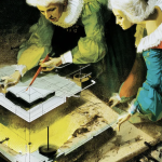 The human layer in agentic design systems